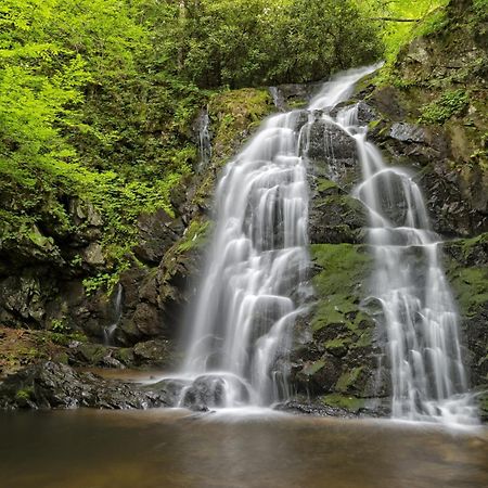 River Song Sevierville Eksteriør billede