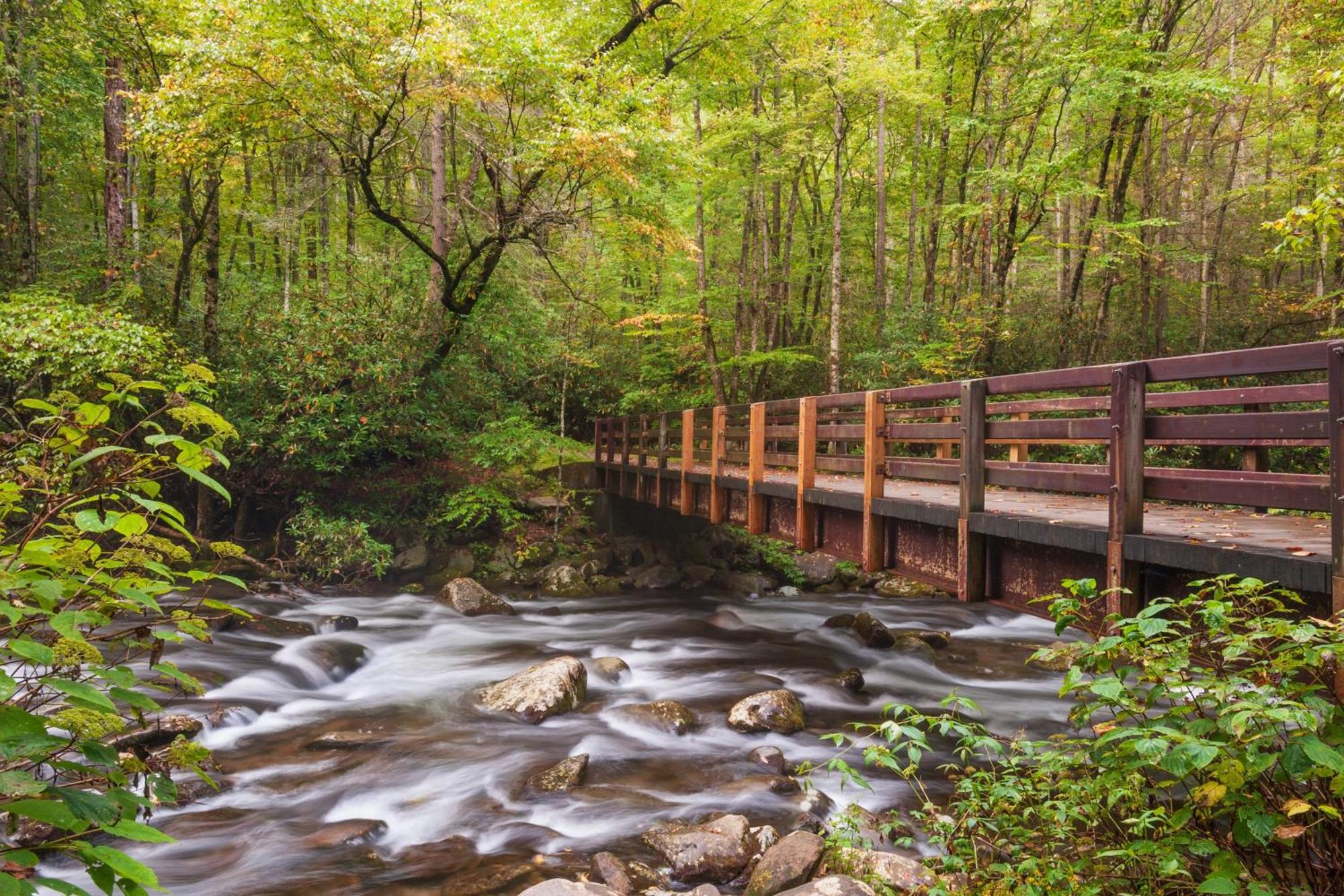 River Song Sevierville Eksteriør billede